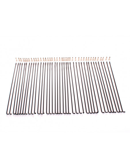 Rayons Odyssey Black (X 40)