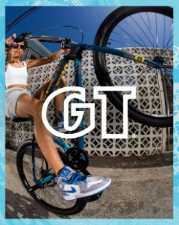 GT BIKE