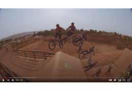 PAT CASEY / DREAM YARD 4