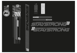 STAYSTRONG V4 : PLUS RIGIDE QUE JAMAIS